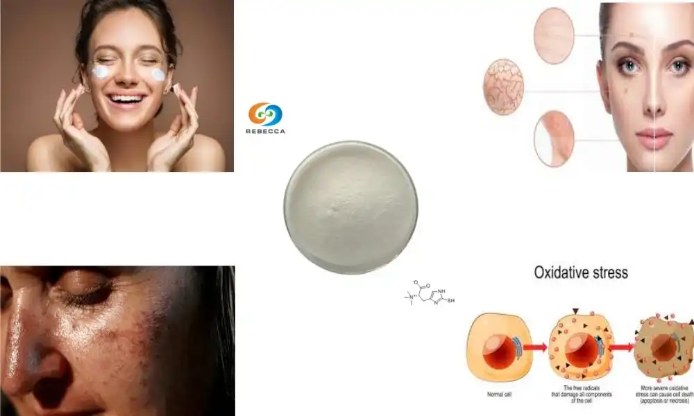 L-Ergothioneine Powder: A Must-Have for Anti-Aging